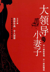 大领导的小妻子
